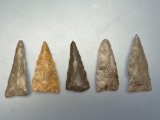 Lot of 5 Iroquoian Triangles, Chert, Found in New York
