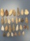 29 Various Quartz and Quartzite Points, Found in Joppa, Maryland, Longest is 2 3/4