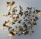 Lot of Shark Teeth, Megalodon, Nice Assortment, Longest is 1 1/8