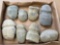7 Grooved Axes + Hammerstone, Found in Moorestown, New Jersey, Longest is 7