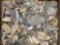 Large Box Lot of Site Material, Found in Burlington Co., New Jersey, Pick Up Only