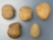 5 Grooved Bola Stones, Found in Burlington Co., NJ, Longest is 1 7/8