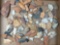Large Box Lot of Various Arrowheads, Artifacts, Found in North Carolina