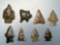 8 Ridge and Valley Chert Points, Found in North Carolina, Longest is 1 1/4