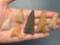 Lot of 6 Nice Triangle Points, Found in North Carolina, Longest is 2 1/4