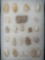 Lot of 23 Quartz Points, Found in Berks Co., PA, Ex: Kauffman Collection, Longest is 1 15/16