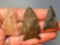 x3 Nice Points, Specific Locations (Myers Site, Coxsackie NY, Long Island, Longest is 1 5/8