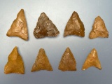 8 Nice Jasper Triangle Points, Longest is 1 3/8