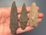 3 Nice Stem Points, Longest is 3