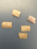 5 Wampum Beads, x1 Purple, Susquehannock, Found Oscar Leibhart Site, Feature 36, York Co PA 1665-168
