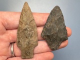 Pair of Stem Points, Found in Jim Thorpe Area in Pennsylvania, Longest is 2 1/2