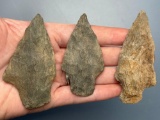 3 Stem Points, Carbon Co. Chert, Found in Jim Thorpe Area in Pennsylvania, Longest is 3