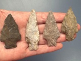 Lot of 5 Stemmed Points, Found in Jim Thorpe Area in Pennsylvania, Longest is 2 5/8