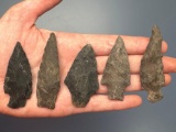 x5 Chert and Black Chalcedony Points, Found in Jim Thorpe Area in Pennsylvania, Longest is 2 5/8