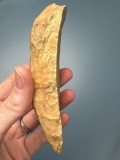 Large 4 3/4