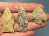 3 Fine Rhyolite Points, Found in Jim Thorpe Area in Pennsylvania, Longest is 1 3/16