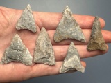 6 Nice Rhyolite Triangle Points, Found in Jim Thorpe Area in Pennsylvania, Longest is 1 3/4