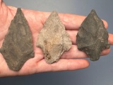 3 Nice Broader Based Points, Found in Jim Thorpe Area in Pennsylvania, Longest is 2 3/4