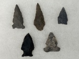 11 Fine Points, Arrowheads, Found in Jim Thorpe Area in Pennsylvania, Longest is 3 3/8