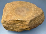 Large 11