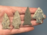 NICE Lot of Argillite and Rhyolite Points, Longest is 1 7/8