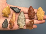 8 Colorful Points, Southeastern US, Longest is 2