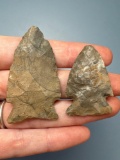 2 Well-Made Onondaga Chert Points, Corner Notch, Longest is 2 1/16