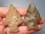 Onondaga Chert Perkiomen+Susquehanna Broad, Longest is 2