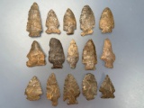 NICE Selection of 15 Various Points, Mainly Onondaga Chert, Longest is 2 1/2