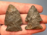 FINE Pair of Corner Notch Points, Chert, Longest is 1 1/2