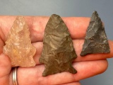 x3 Nice Points, Specific Locations (Myers Site, Coxsackie NY, Long Island, Longest is 1 5/8
