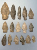 16 Various Points, Mainly Lamoka Styles, Longest is 2