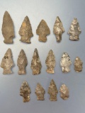15 Various Points, Mainly Lamoka Styles, Longest is 2