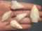 5 Fine Quartz Points, Longest is 1 9/16