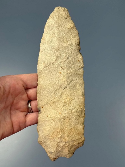 HUGE 8 1/4" Savannah River, Rhyolite, Tip Broken+Reglued, Found in Stokes Co., NC
