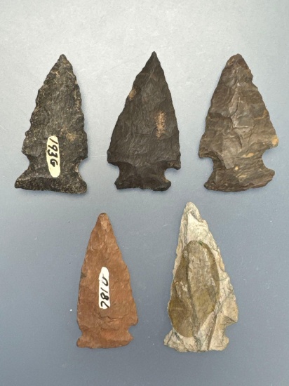 Nice Lot x5 Brewerton Related Points, Longest is 1 13/16", Found in Pennsylvania