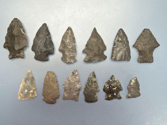 Lot of 12 Chert Points, Found in Pennsylvania and New York, Longest is 1 9/16"