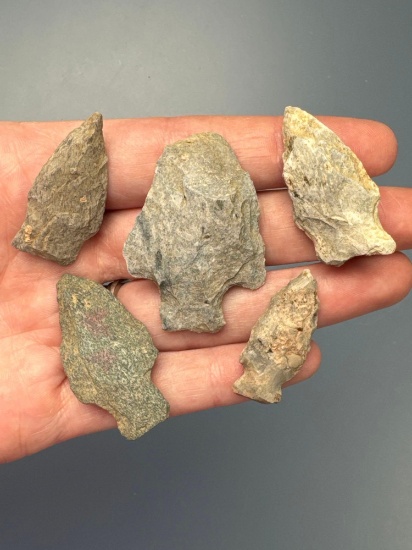 Lot of 5 Points, Mainly Rhyolite, Found in Pennsylvania, Longest is 1 3/4"