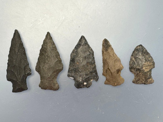 5 Black Chert Points, Nice Stemmed Varieties, Found in Pennsylvania, Longest is 2 1/16"