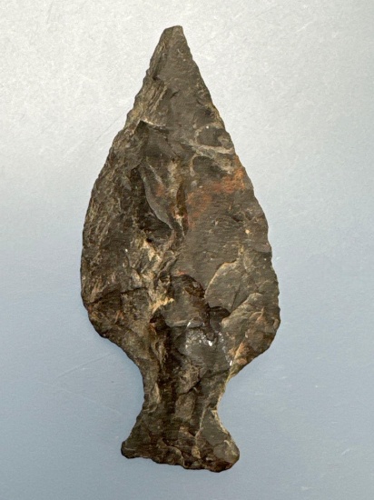 2 1/8" Black Chert Ashtabula, Found by Raymond Powell, Burlington Co., NJ in First part of 1900's