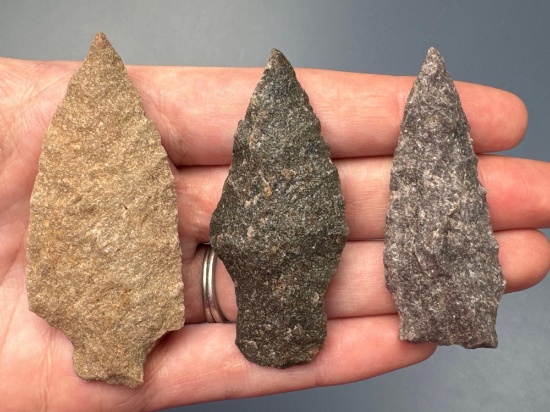Lot of 43 Quartzite Archaic Stem Points, Longest is 2 3/4", Found in Pennsylvania