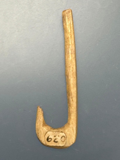 RARE 1 5/8" Bone Fishhook, Found on Washington Boro Village Site in Lancaster Co., PA