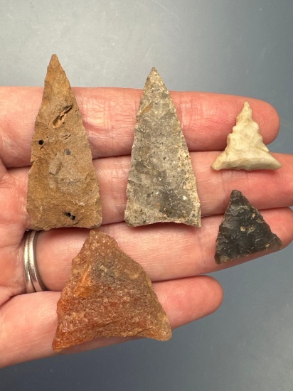 Lot of 5 Impressive Triangle Points, Found in Salem Co., NJ, Well Made, Longest is 1 5/8"