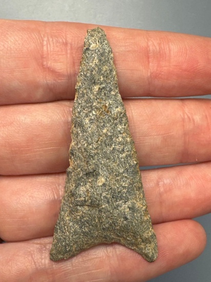 WOW 2 1/8" FINE Rhyolite Yadkin Triangle, Found in Greensboro, North Carolina