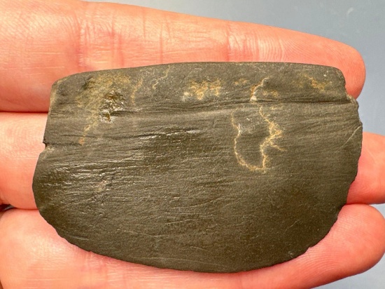 STUNNING 2 1/16" Miniature Slate Semilunar Knife/Ulu, Maritime Archaic, Found in New York