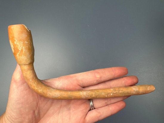 7 3/4" Restored Susquehannock Tulip Bowl Clay Pipe, Strickler Site, Washington Boro, Lan. Co., PA