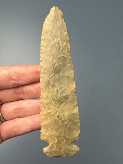 NICE 4 15/16" Normanskill Chert Dovetail Point, Found in Erie Co., New York, Great Example!