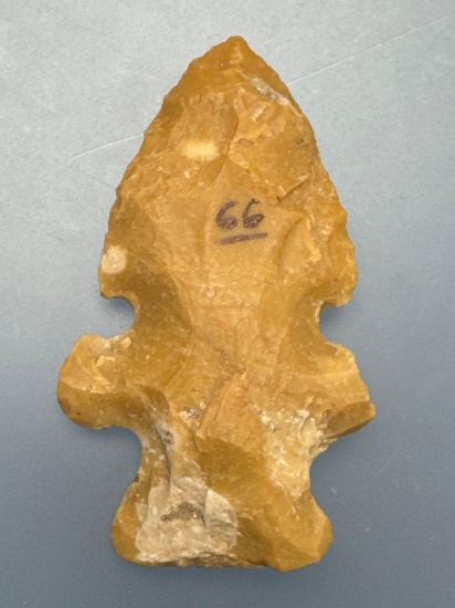 2" Evans Double Notch/Eccentric Point, Found near the Lumber River , Lumberton, North Carolina