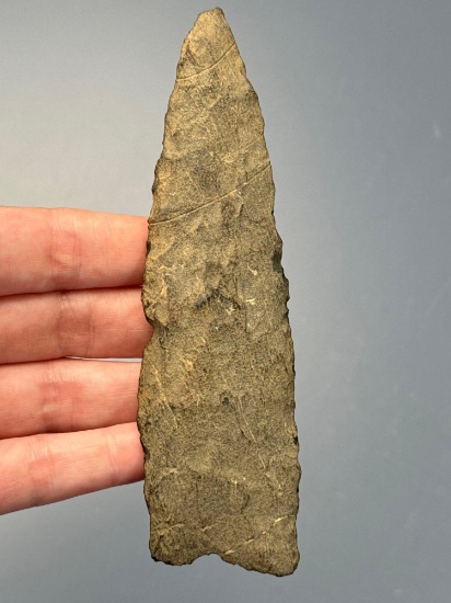 XL 5 1/8" Argillite Fox Creek Lanceolate, Found in Mass., Ex: Amspacher Collection, Minor Tip Ding