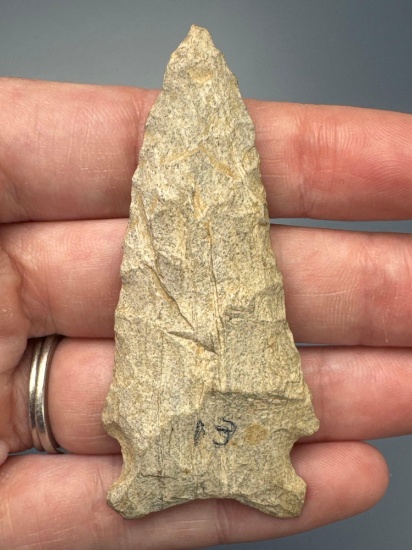 NICE 2 3/4" Hardaway Point, Found in North Carolina, Well-Made Example, Larger Piece